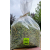 WYRWISUSZ DZIKOWYJE - SIANKO 500g